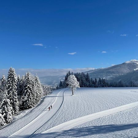 Burglehnerhof Aparthotel Рамзау ам Дахщайн Екстериор снимка