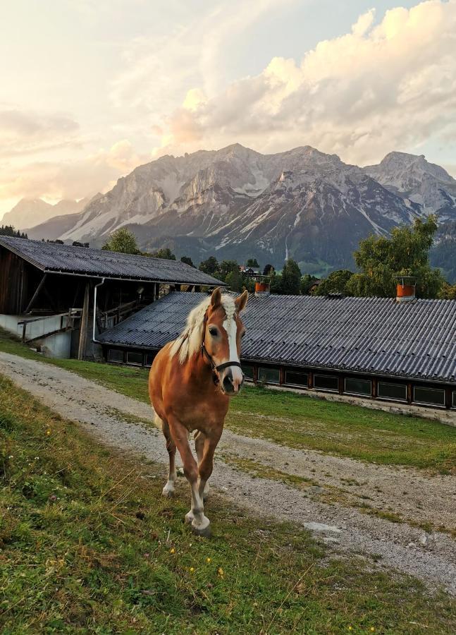 Burglehnerhof Aparthotel Рамзау ам Дахщайн Екстериор снимка
